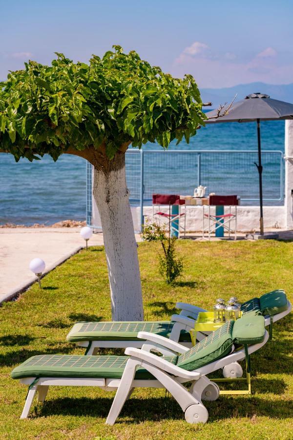 Вилла Kiko, The Coastline House Като-Ахайя Экстерьер фото